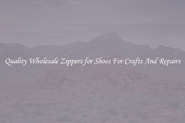 Quality Wholesale Zippers for Shoes For Crafts And Repairs
