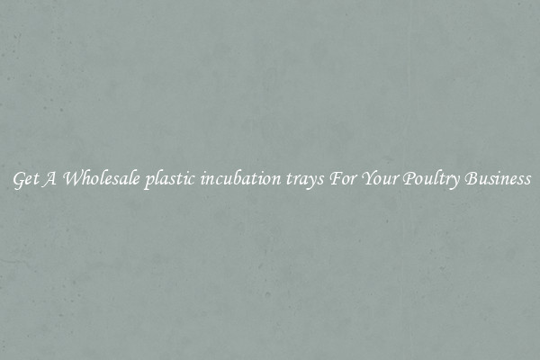 Get A Wholesale plastic incubation trays For Your Poultry Business
