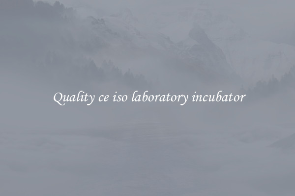 Quality ce iso laboratory incubator