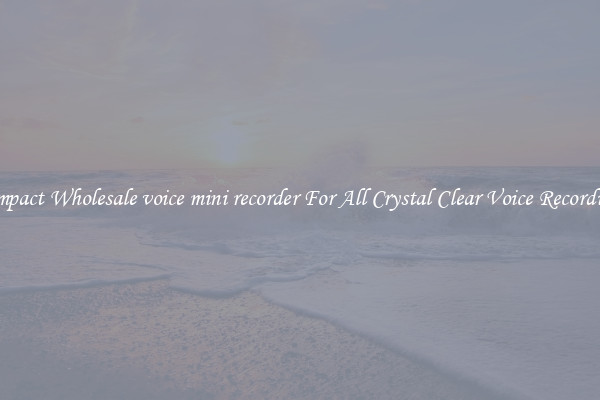 Compact Wholesale voice mini recorder For All Crystal Clear Voice Recordings