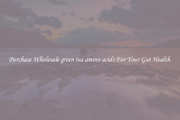 Purchase Wholesale green tea amino acids For Your Gut Health 