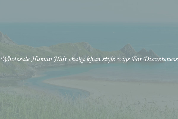 Wholesale Human Hair chaka khan style wigs For Discreteness