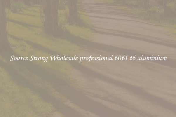 Source Strong Wholesale professional 6061 t6 aluminium