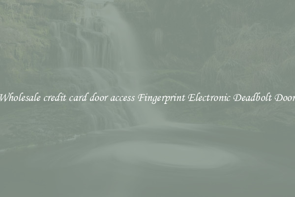 Wholesale credit card door access Fingerprint Electronic Deadbolt Door 