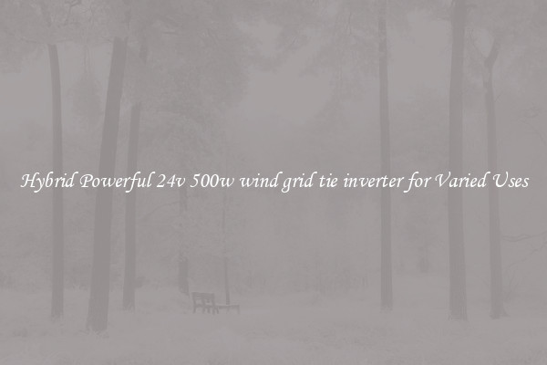 Hybrid Powerful 24v 500w wind grid tie inverter for Varied Uses