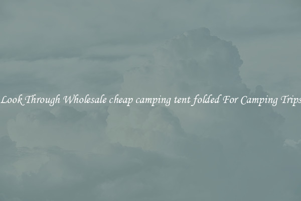 Look Through Wholesale cheap camping tent folded For Camping Trips