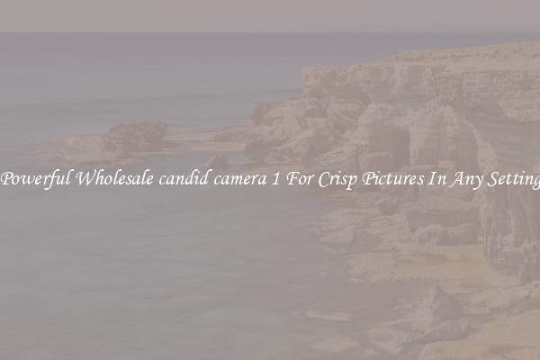 Powerful Wholesale candid camera 1 For Crisp Pictures In Any Setting