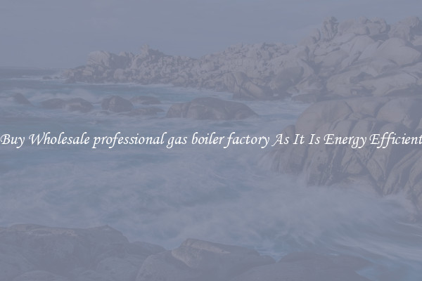 Buy Wholesale professional gas boiler factory As It Is Energy Efficient
