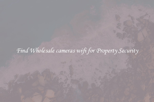 Find Wholesale cameras wifi for Property Security
