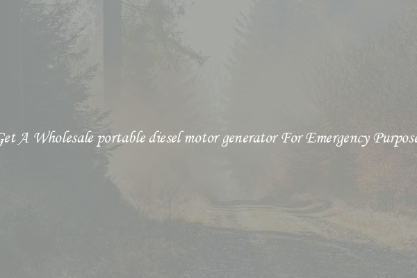 Get A Wholesale portable diesel motor generator For Emergency Purposes