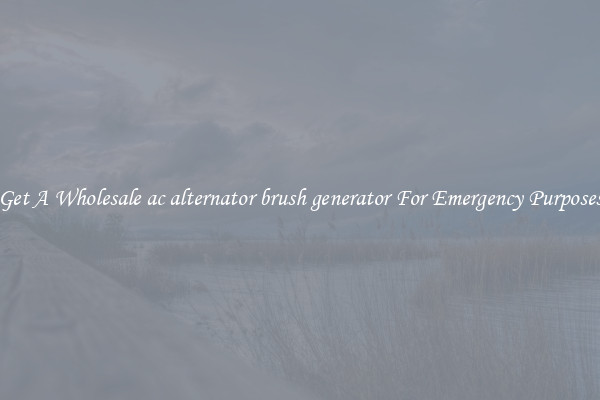 Get A Wholesale ac alternator brush generator For Emergency Purposes