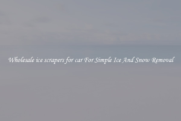 Wholesale ice scrapers for car For Simple Ice And Snow Removal