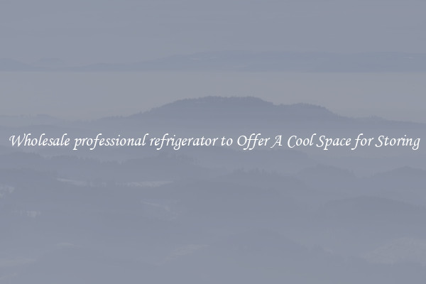 Wholesale professional refrigerator to Offer A Cool Space for Storing
