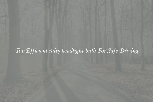 Top Efficient rally headlight bulb For Safe Driving