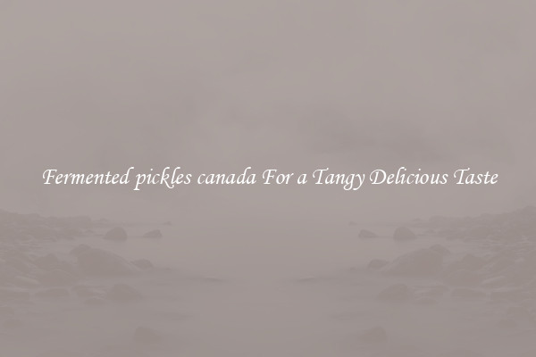 Fermented pickles canada For a Tangy Delicious Taste