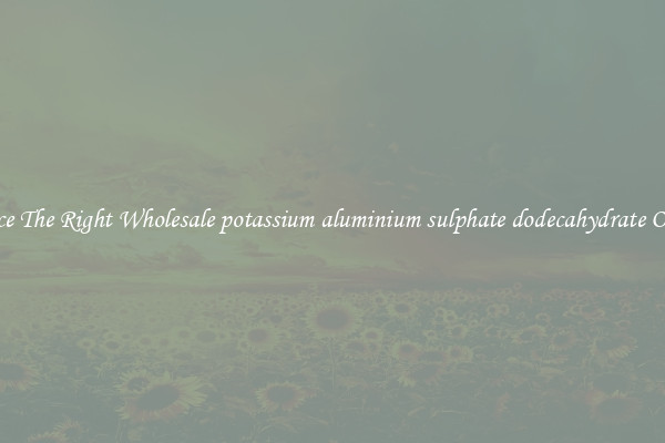 Source The Right Wholesale potassium aluminium sulphate dodecahydrate Online